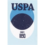 boy's Standard Blue Crew Neck T-Shirt - Image 2