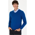 Men's Slim Saks Basic Sweater