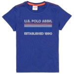 Boy Standard blue Polo Neck T-Shirt