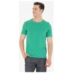 Men's Regular Green Basic Crew Neck T-Shirt